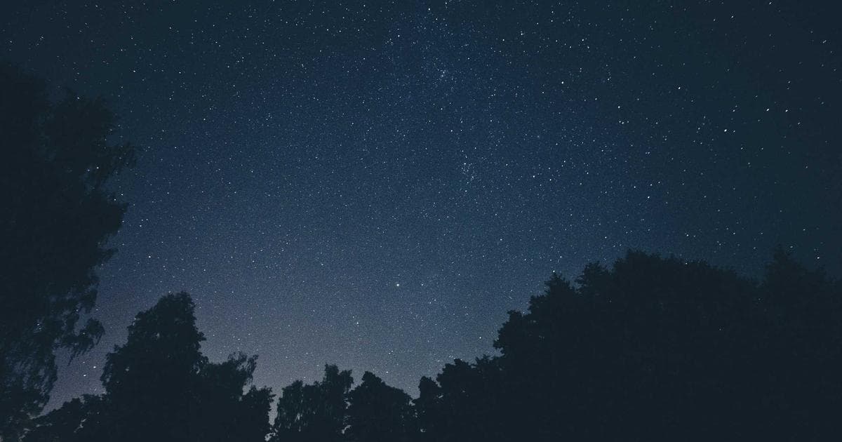 معنا درمانی: چگونه هدف زندگی خود را پیدا کنیم؟