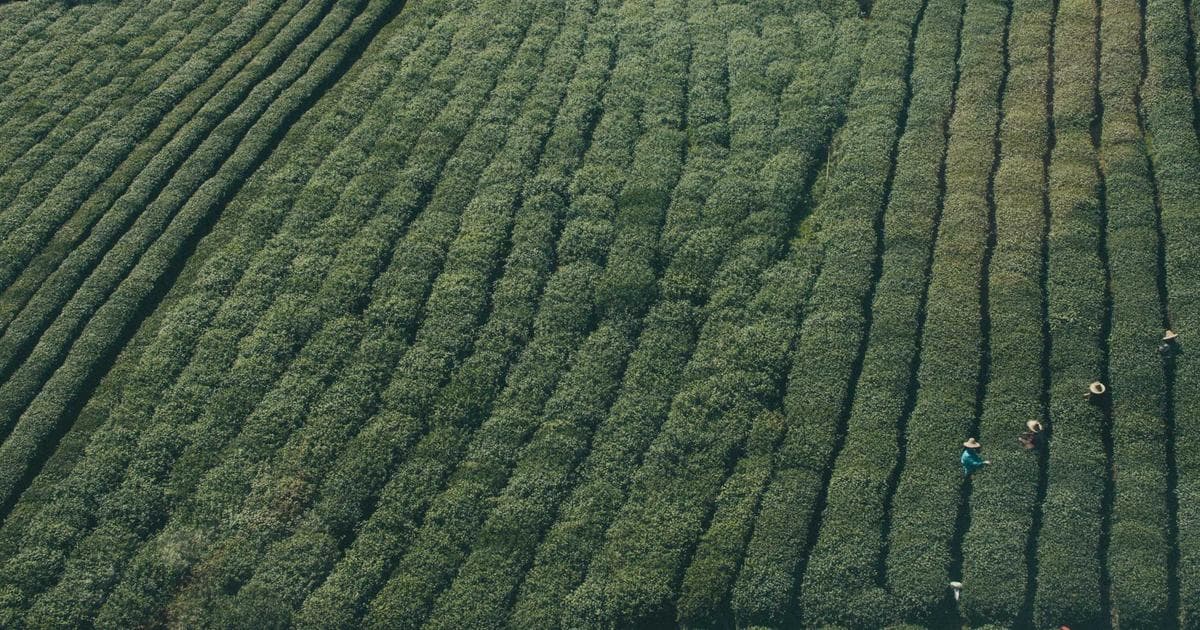 مثبتاندیشی سمی چیست و چرا خطرناک است؟